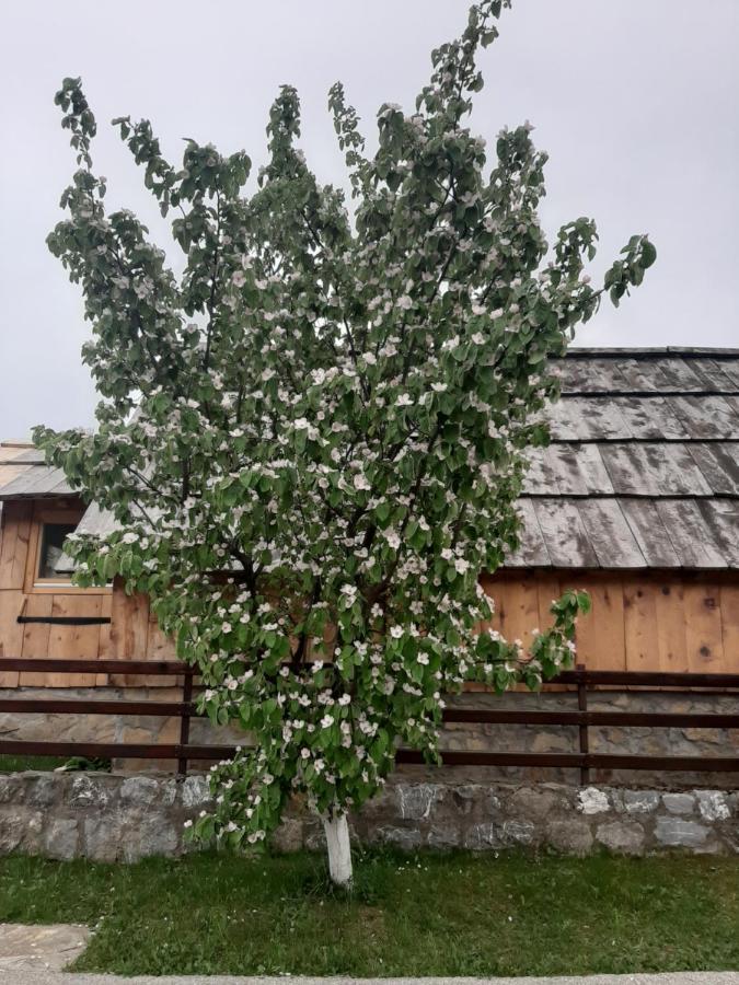 Etno Smjestaj Bjelasica Kolasin Exterior photo